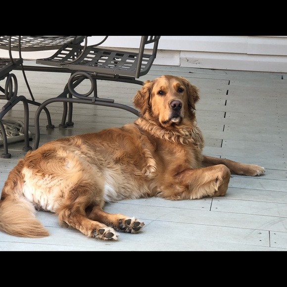 Meet your Posher, Diane - Picture 6 of 8